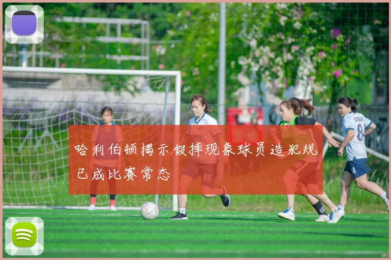 哈利伯顿揭示假摔现象球员造犯规已成比赛常态
