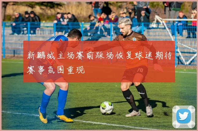 新鹏城主场赛前踩场恢复球迷期待赛事氛围重现