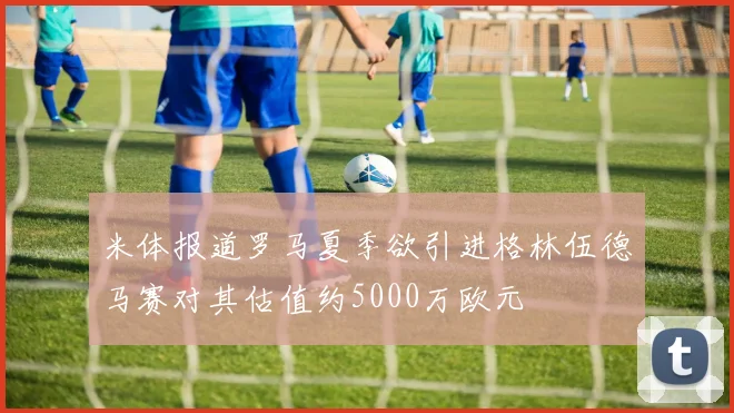 米体报道罗马夏季欲引进格林伍德马赛对其估值约5000万欧元